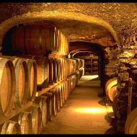 Sejour Au Coeur Des Vignes De Banyuls-sur-Mer