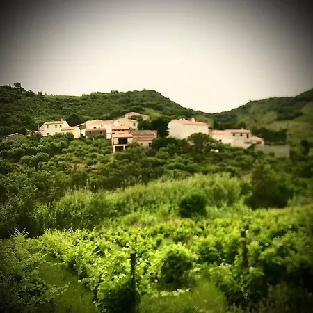 Holiday home Sejour Au Coeur Des Vignes De Banyuls-sur-Mer