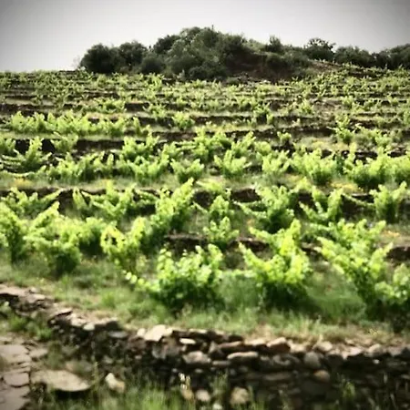 Sejour Au Coeur Des Vignes De Holiday home *
