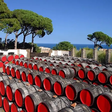 Holiday home Sejour Au Coeur Des Vignes De Banyuls-sur-Mer