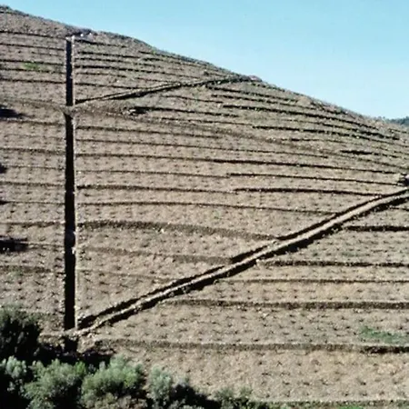 Sejour Au Coeur Des Vignes De