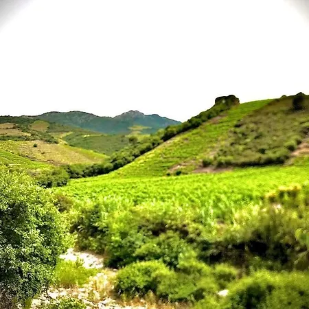 Holiday home Sejour Au Coeur Des Vignes De
