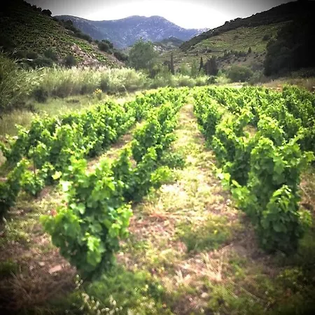 Sejour Au Coeur Des Vignes De Holiday home *