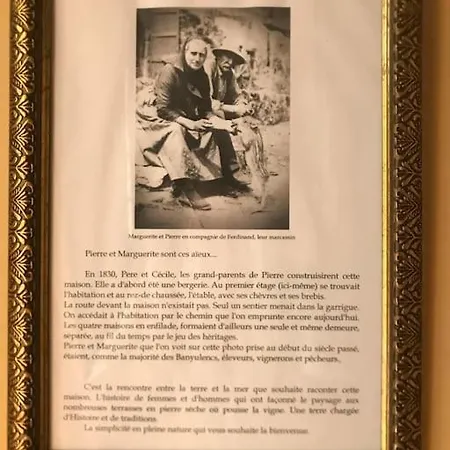 Au Cœur Des Vignes De Casa vacanze