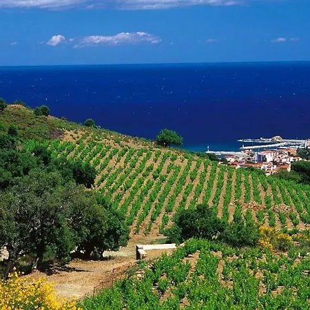 Sejour Au Coeur Des Vignes De * Banyuls-sur-Mer