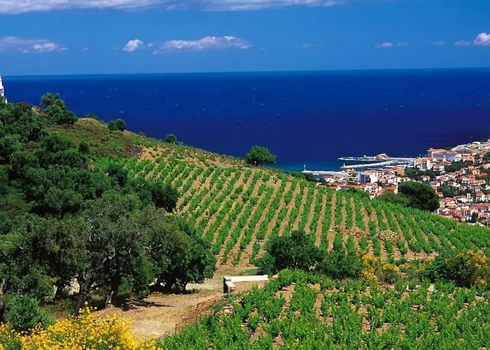 Sejour Au Coeur Des Vignes De * Banyuls-sur-Mer